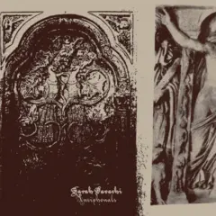 Sarah Davachi Antiphonals (LP)