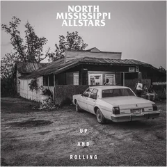 North Mississippi Allstars Up And Rolling - LTD (LP)