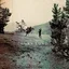 Corb Lund Agricultural Tragic - LTD (LP)