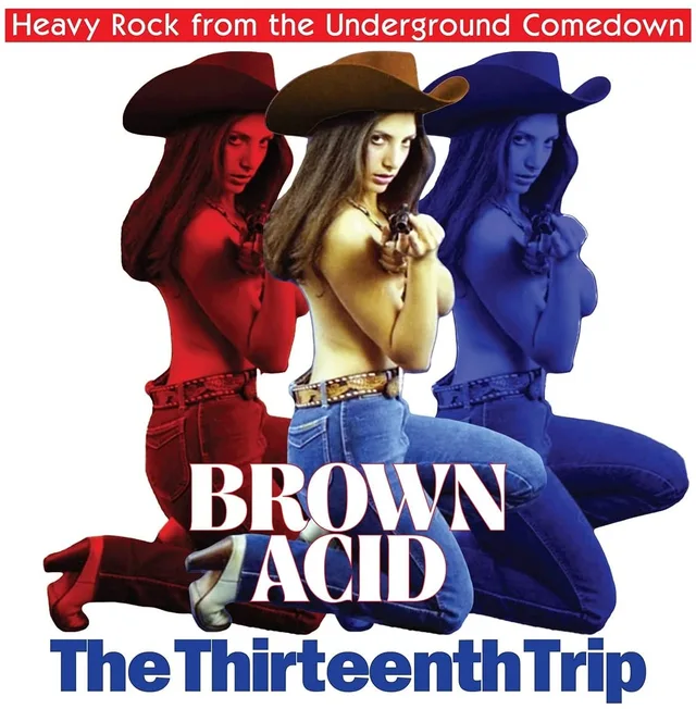 Diverse Artister Brown Acid - The Thirteenth Trip (LP) 
