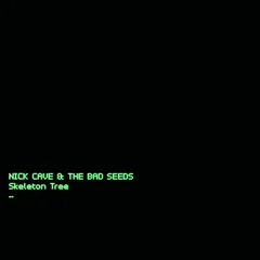 Nick Cave &amp; The Bad Seeds Skeleton Tree (CD)