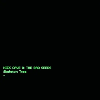 Nick Cave &amp; The Bad Seeds Skeleton Tree (CD)