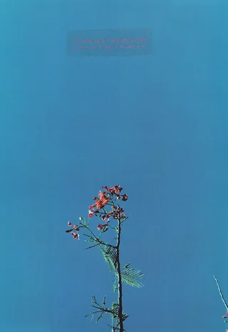 Joanna Newsom Joanna &amp; Ys Street Band (12")