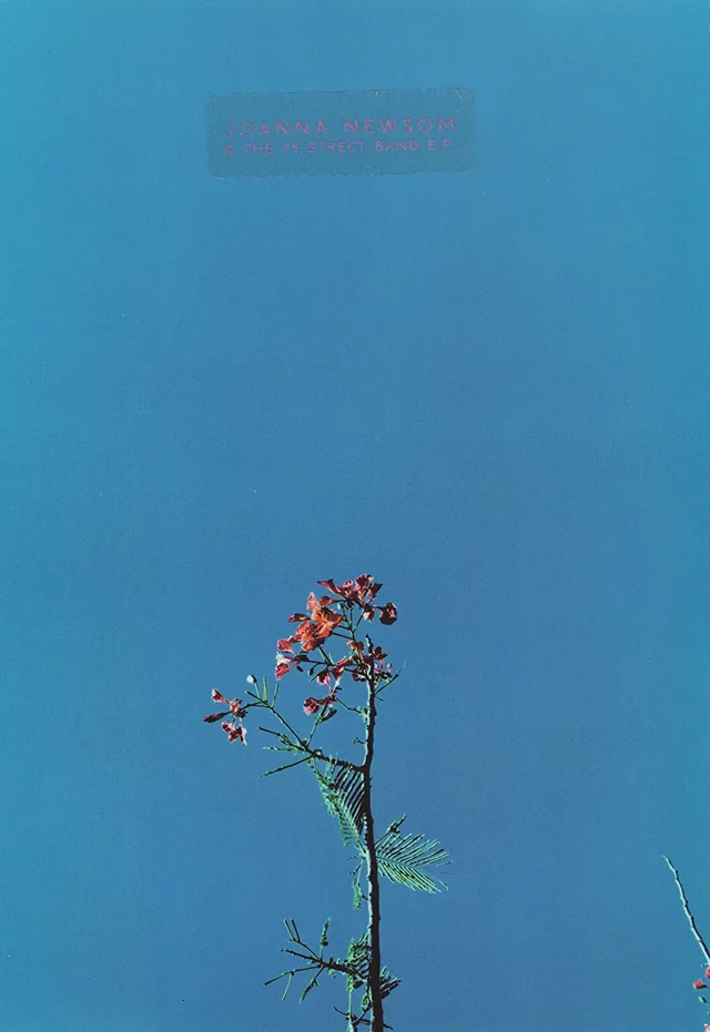 Joanna Newsom Joanna & Ys Street Band (12") 