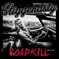 Stiggenasty Roadkill (12")