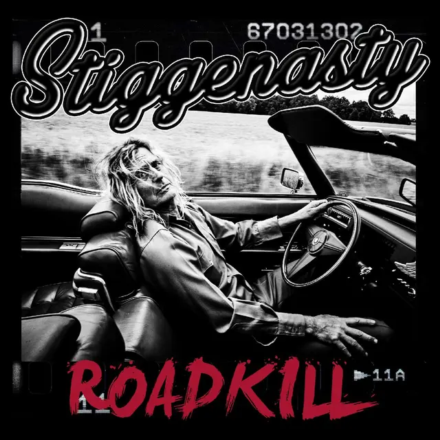 Stiggenasty Roadkill (12") 