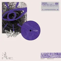 Hippo Campus LP3 - LTD (LP)
