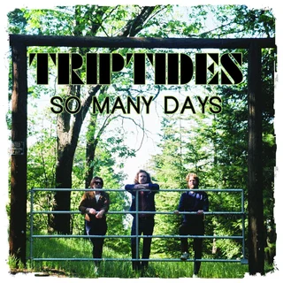 Triptydes So Many Days (12")