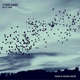 Steinar Raknes Due Og Drone (CD)