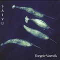 Torgeir Vassvik Sáivu (CD)