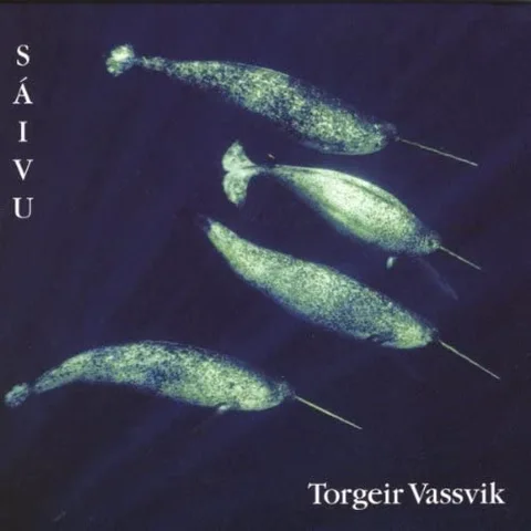 Torgeir Vassvik Sáivu (CD) 