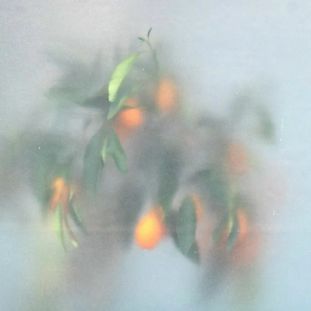 U-Ziq & Mrs Jynx Secret Garden (LP) 