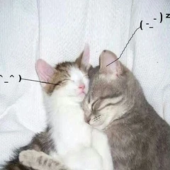 Retail Drugs i love you so! (MC)