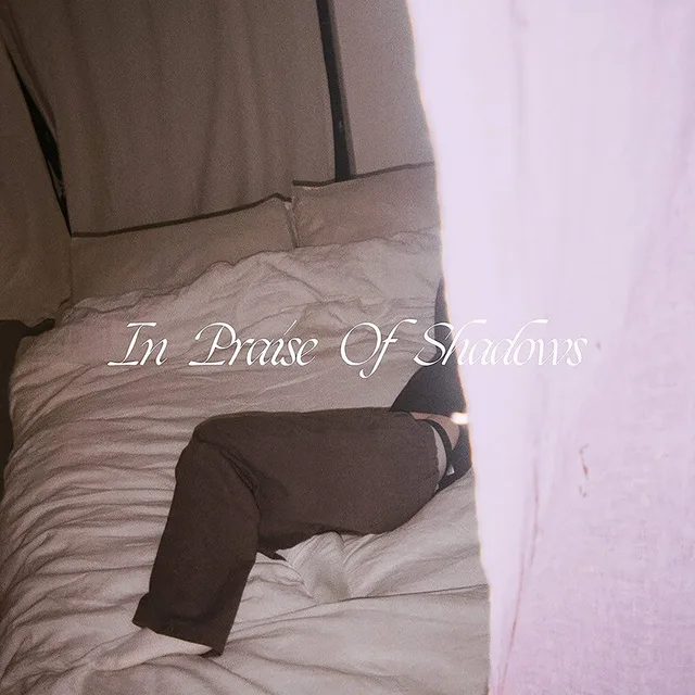 Puma Blue In Praise Of Shadows - Deluxe (LP) 