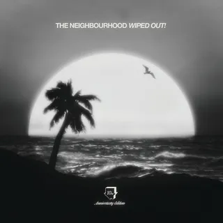 The Neighbourhood Wiped Out! 10th Anniversary… (2LP)