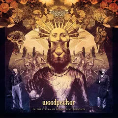 Weedpecker IV: The Stream Of Forgotten… - LTD (LP)