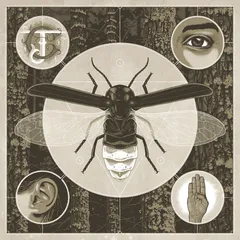 Jerry Cantrell Brighten (CD)