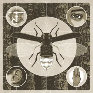 Jerry Cantrell Brighten (CD)