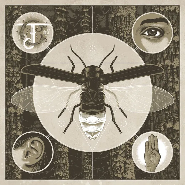 Jerry Cantrell Brighten (CD) 