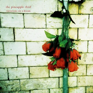The Pineapple Thief Variations On A Dream (CD)
