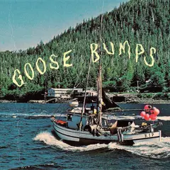 Boyscott Goose Bumps - LTD (LP)