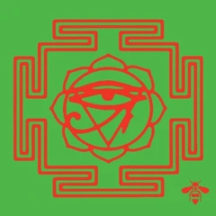 The Brian Jonestown Massacre Groove Is In The Heart (10")