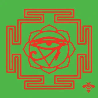 The Brian Jonestown Massacre Groove Is In The Heart (10")