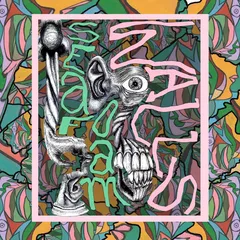 Seafoam Walls XVI - LTD (LP)