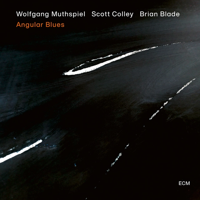 Wolfgang Muthspiel/Scott Colley/Blade Angular Blues (CD) 
