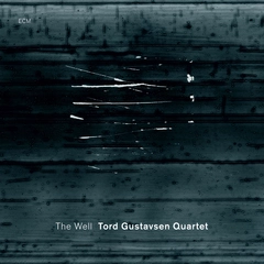 Tord Gustavsen Quartet The Well (CD)