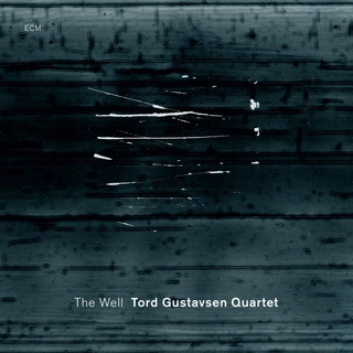 Tord Gustavsen Quartet The Well (CD)