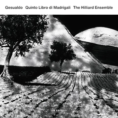The Hilliard Ensemble Quinto Libro Di Madrigali (CD)