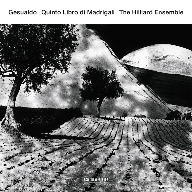 The Hilliard Ensemble Quinto Libro Di Madrigali (CD) 