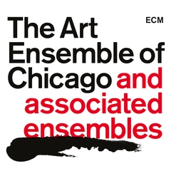 Art Ensemble Of Chicago The Art Ensemble Of Chicago And… (21CD)