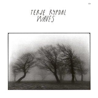 Terje Rypdal Waves (CD)