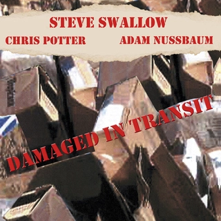 Steve Swallow Damaged In Transit (CD)