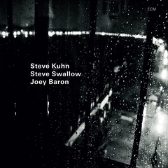 Steve Kuhn/Steve Swallow/Joey Baron Wisteria (CD)
