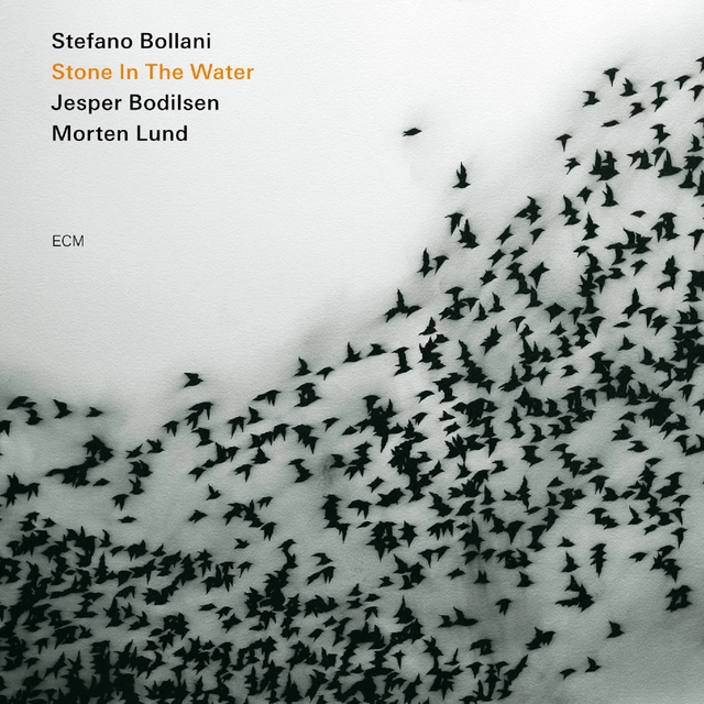 Stefano Bollani Trio Stone In The Water (CD) 