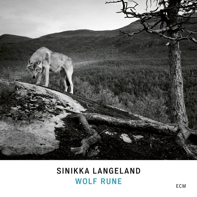 Sinikka Langeland Wolf Rune (CD) 
