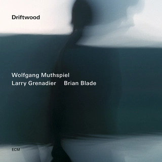 Wolfgang Muthspiel/Grenadier/Blade Driftwood (CD)