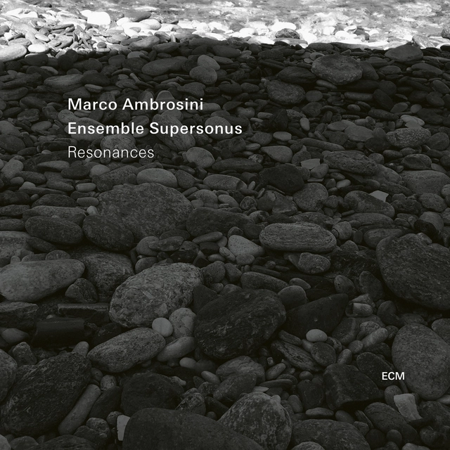 Marco Ambrosini/Ensemble Supersonus Resonances (CD) 