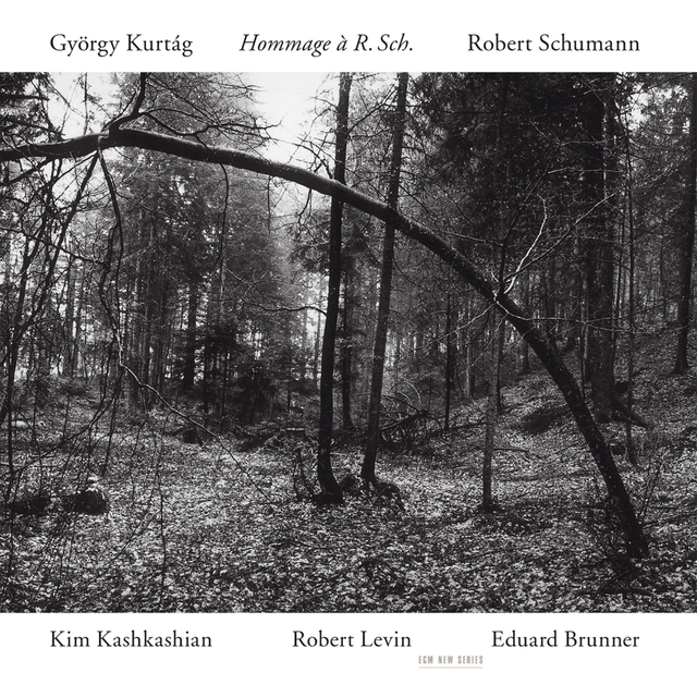 Kim Kashkashian/Robert Levin/Brunner Hommage À R. Sch. (CD) 