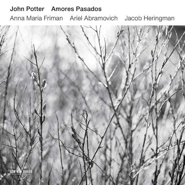John Potter Amores Pasados (CD) 