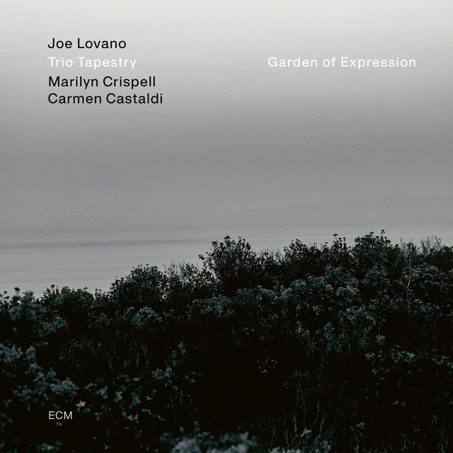 Joe Lovano/Trio Tapestry Garden Of Expression (CD) 