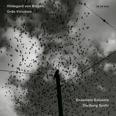 Hildegard von Bingen/Ensemble Belcanto Ordo Virtutum (CD)