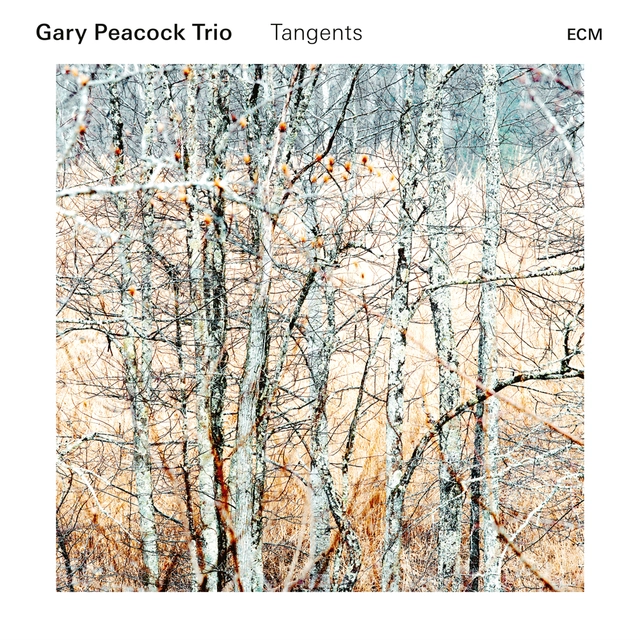 Gary Peacock Trio Tangents (CD) 
