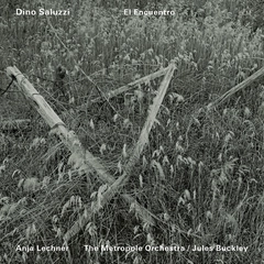Dino Saluzzi El Encuentro (CD)