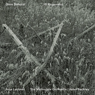 Dino Saluzzi El Encuentro (CD)