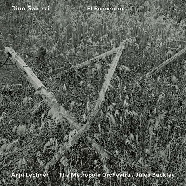 Dino Saluzzi El Encuentro (CD) 