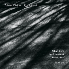 Dénes Várjon Precipitando (CD)